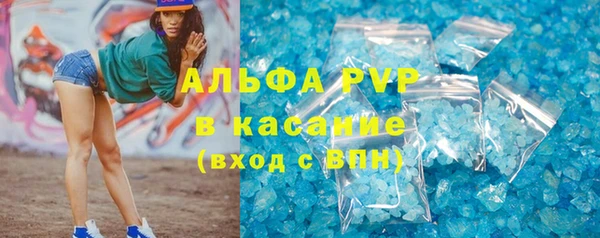 сатива Богданович