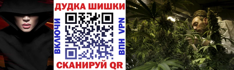Канабис SATIVA & INDICA  Купить закладки  Пошехонье 